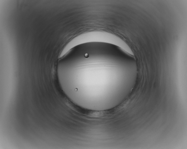 X0000111350084200907311001