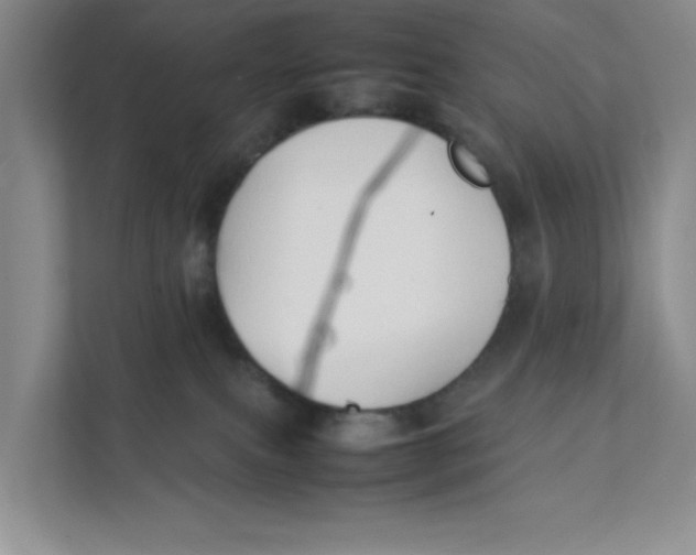 X0000111350087200907311001