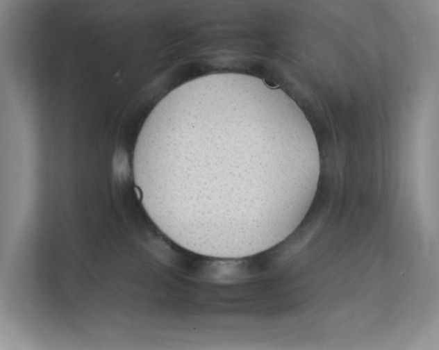 X0000111350089200907311001