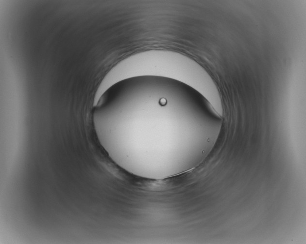 X0000111350092200907311001