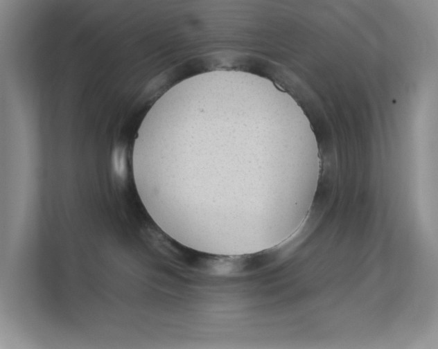 X0000111350094200907311001