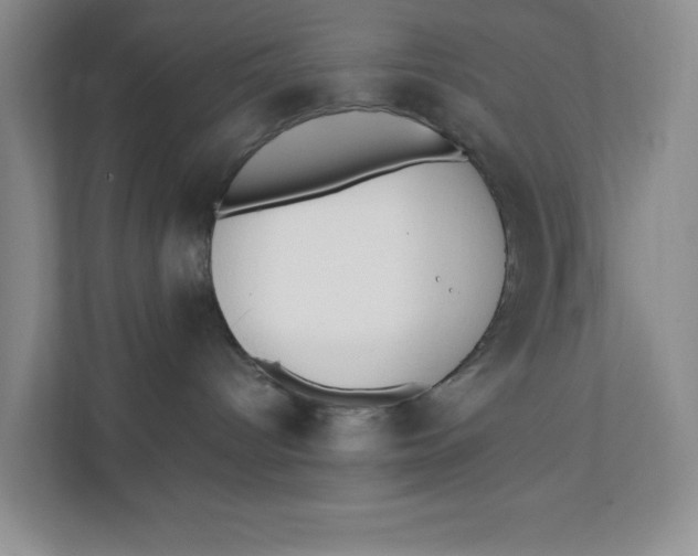 X0000111350096200907311001