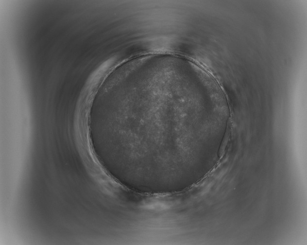 X0000111350097200907311000