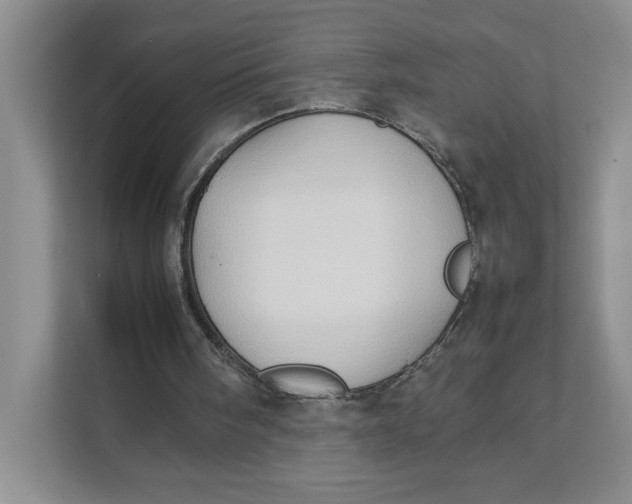 X0000111350098200907311000