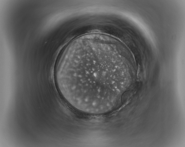 X0000111350099200907311000