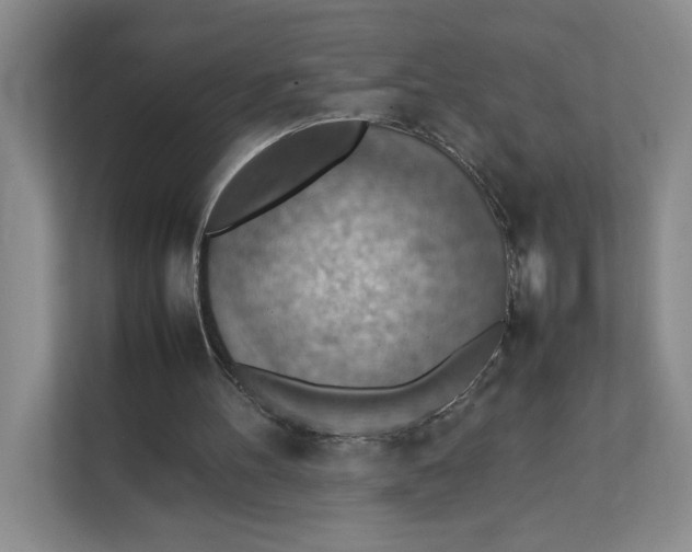 X0000111350100200907311000