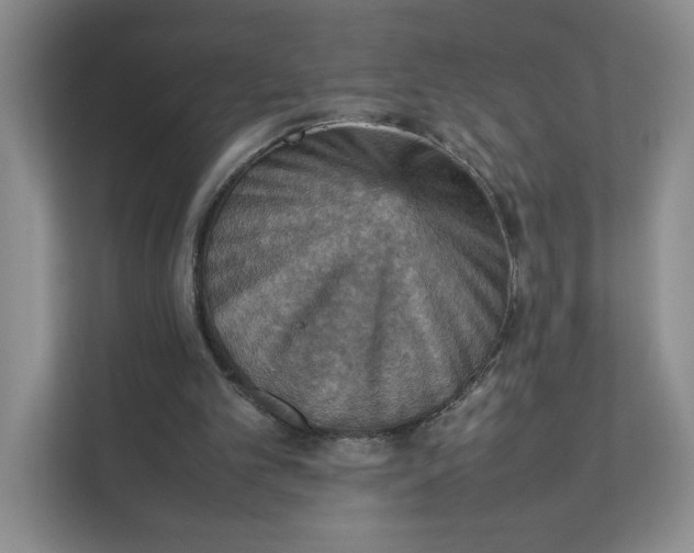 X0000111350101200907311000