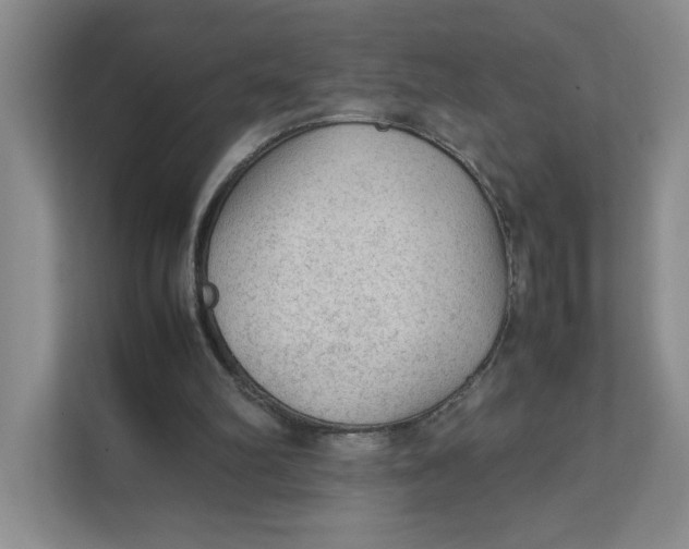 X0000111350102200907311000