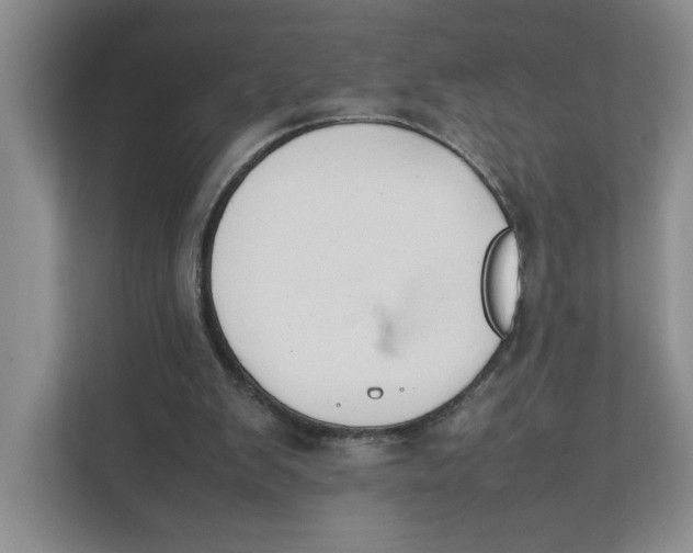 X0000111350103200907311000