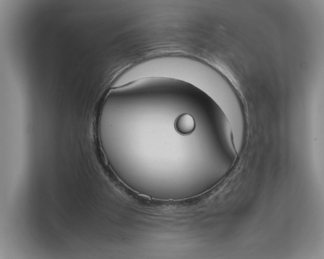 X0000111350105200907311000