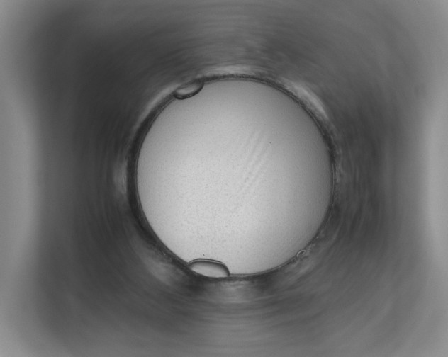 X0000111350108200907311000