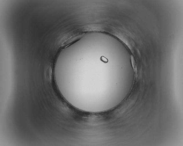 X0000111350109200907311000