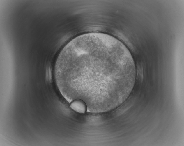 X0000111350110200907311000