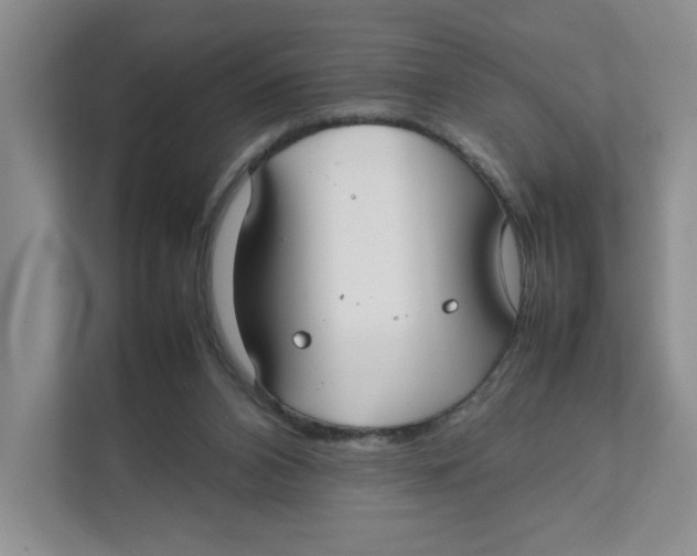 X0000111350112200907311000