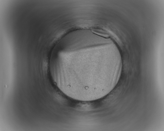 X0000111350113200907311000