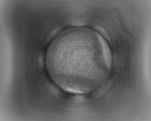 X0000111350114200907311000