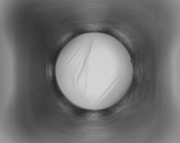 X0000111350115200907311000