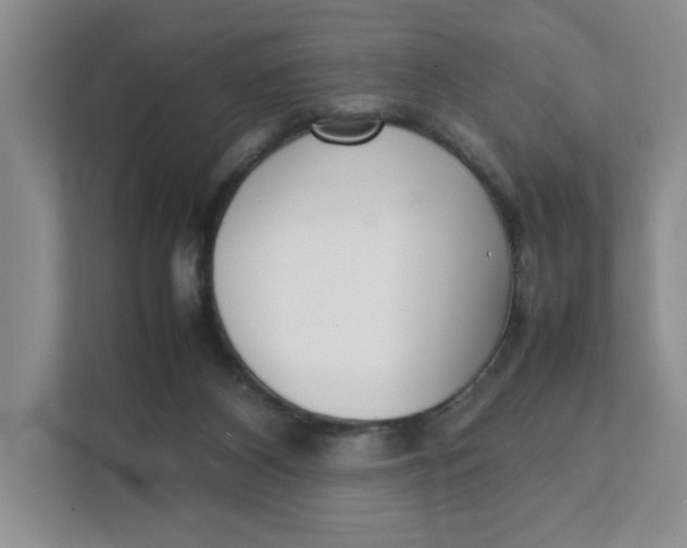 X0000111350116200907311000