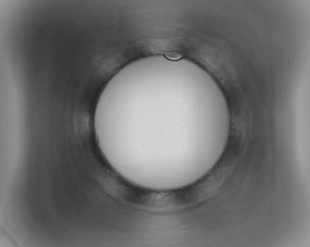 X0000111350117200907311000