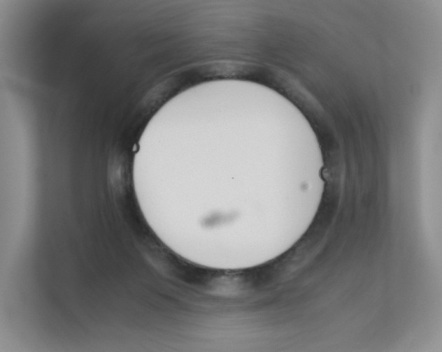 X0000111350119200907311000