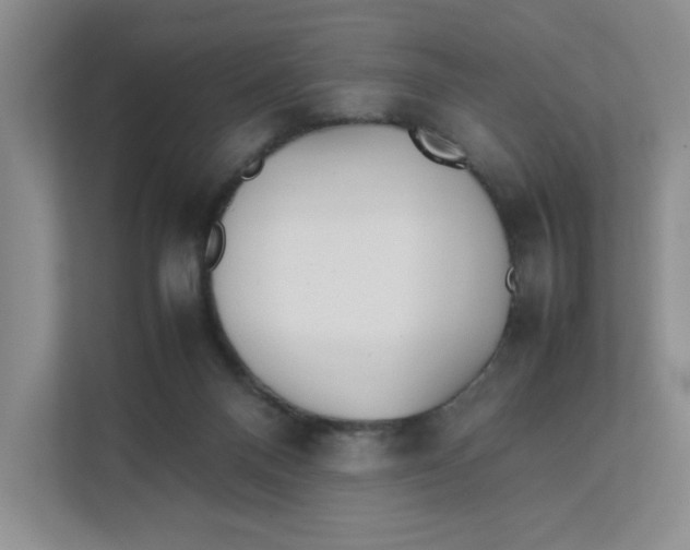 X0000111350120200907311000