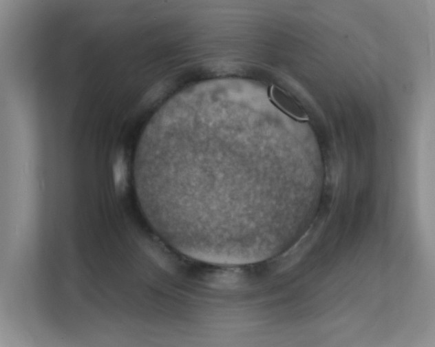 X0000111350124200907311000