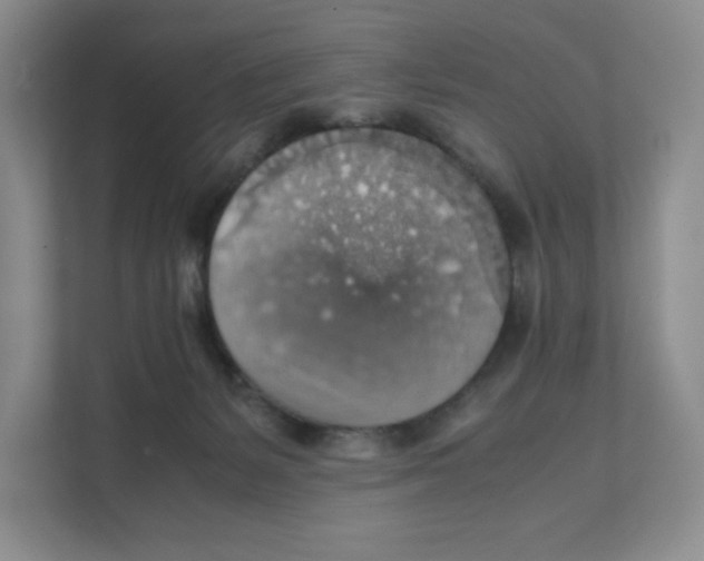 X0000111350127200907311000