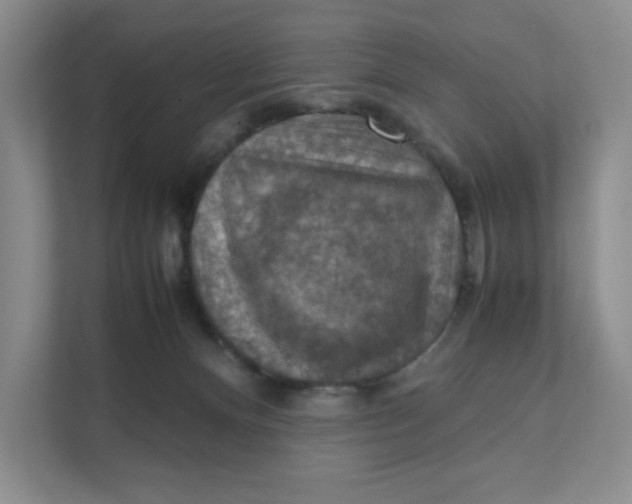 X0000111350128200907311000