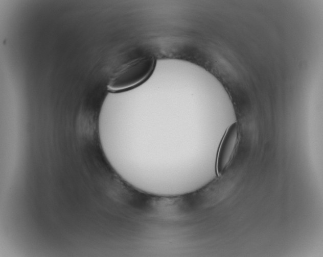 X0000111350129200907311000