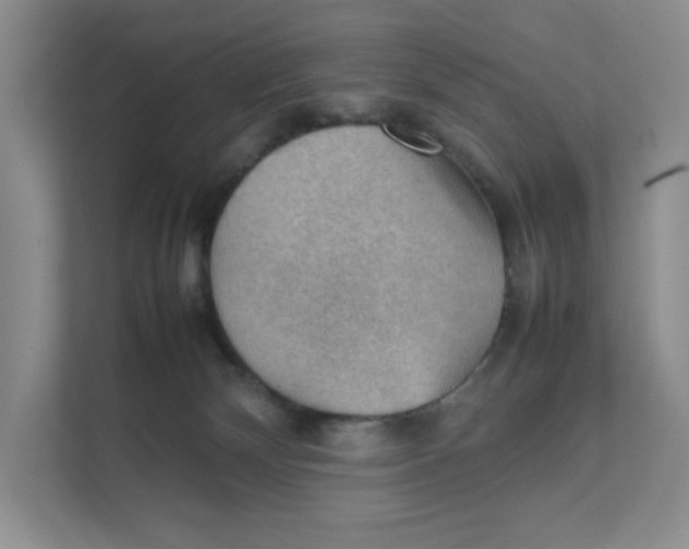 X0000111350132200907311000