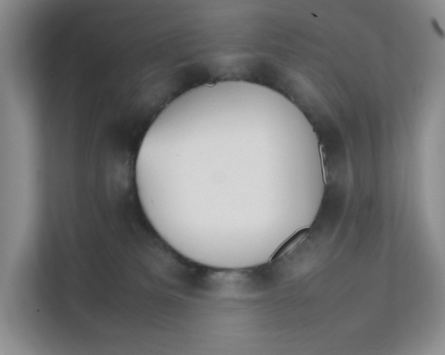 X0000111350133200907311000