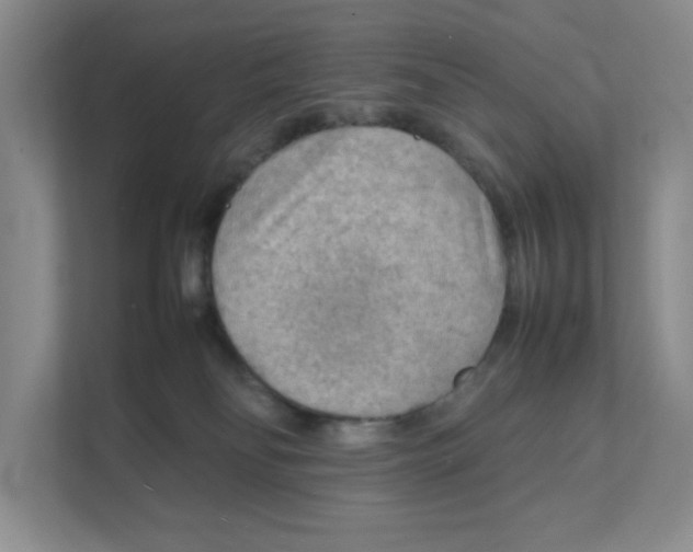 X0000111350134200907311000