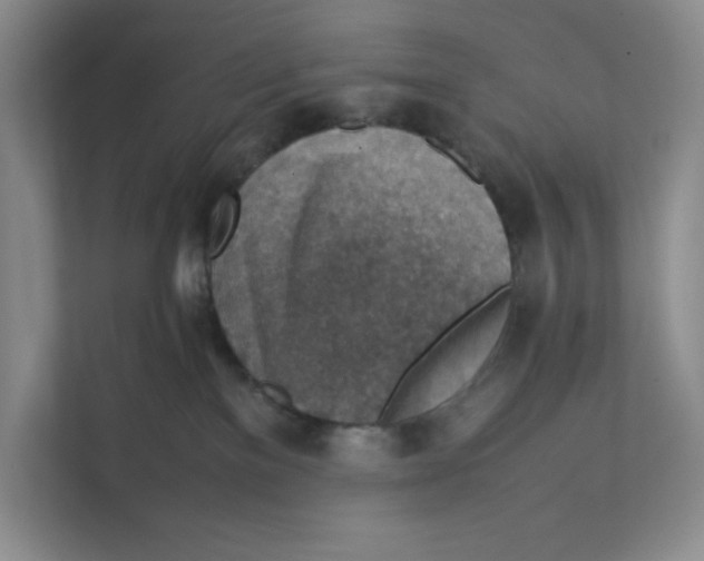 X0000111350137200907311000