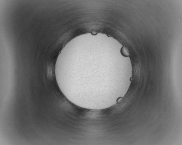 X0000111350138200907311000