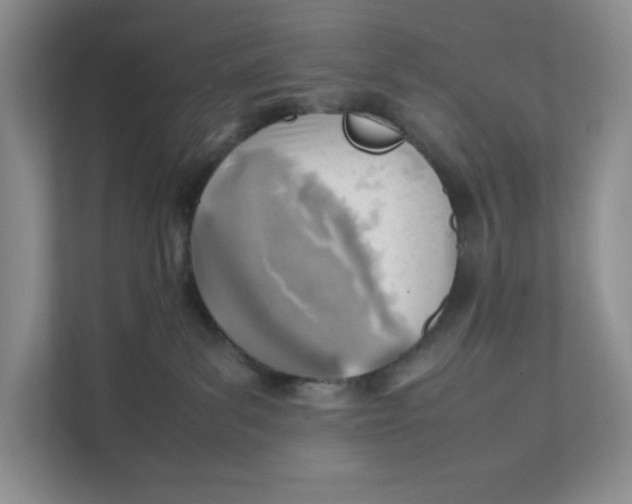 X0000111350139200907311000