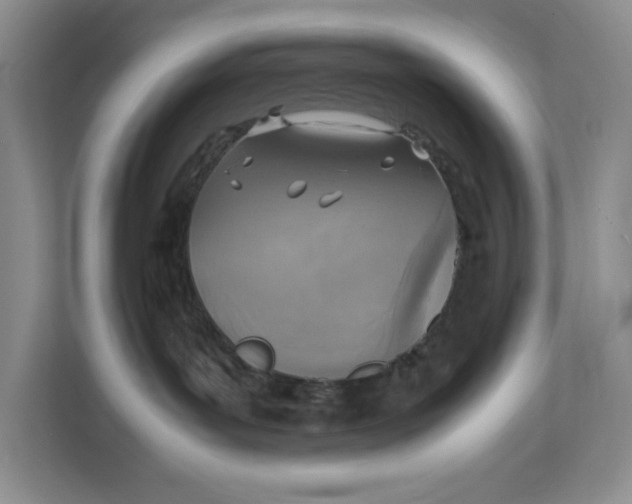 X0000111350143200907311000