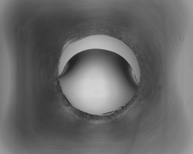 X0000111350144200907311000