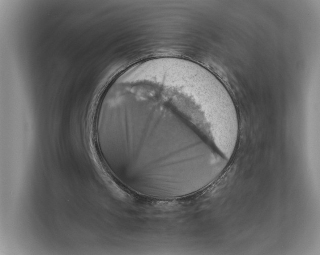 X0000111350145200907310959