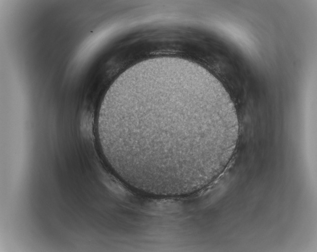 X0000111350146200907310959