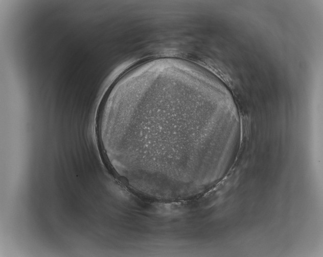 X0000111350147200907310959