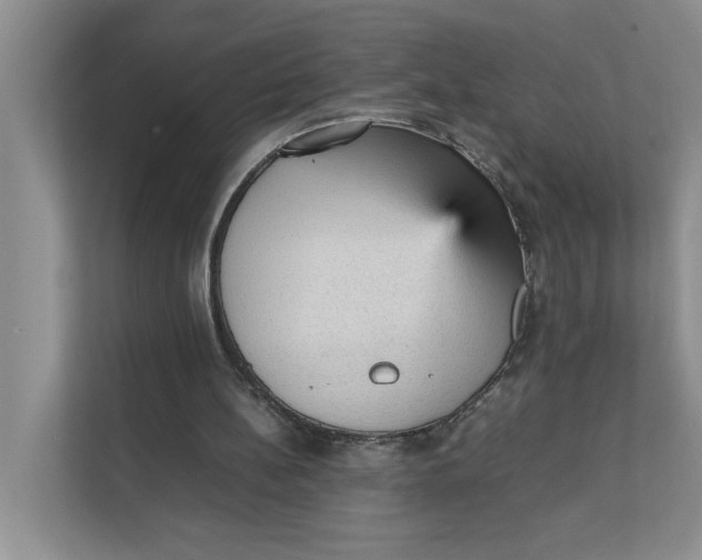 X0000111350148200907310959