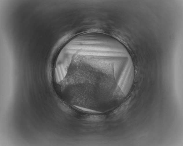 X0000111350149200907310959