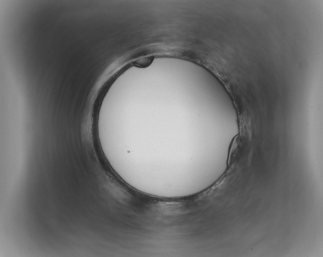 X0000111350150200907310959