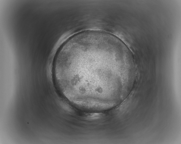 X0000111350151200907310959