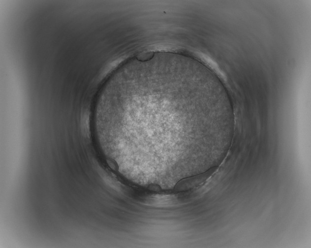 X0000111350154200907310959