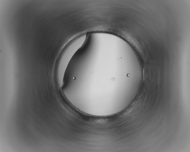 X0000111350156200907310959