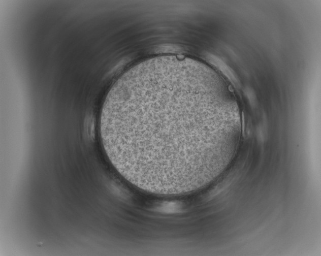 X0000111350157200907310959