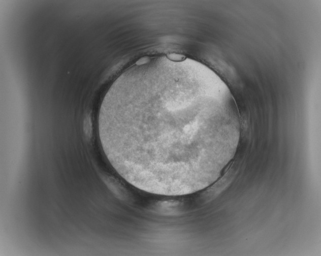 X0000111350158200907310959