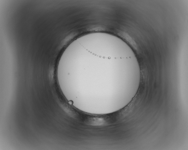 X0000111350159200907310959