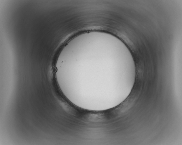 X0000111350160200907310959